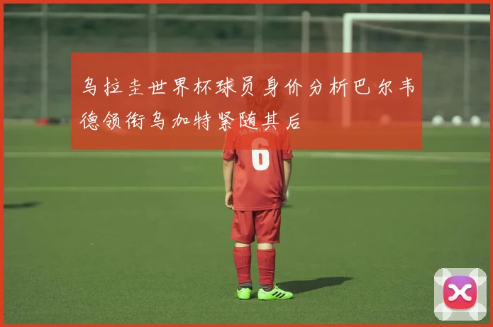 乌拉圭世界杯球员身价分析巴尔韦德领衔乌加特紧随其后